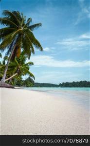 Paradise tropical beach and lagoon in Moorea Island. French Polynesia. Paradise tropical beach and lagoon in Moorea Island