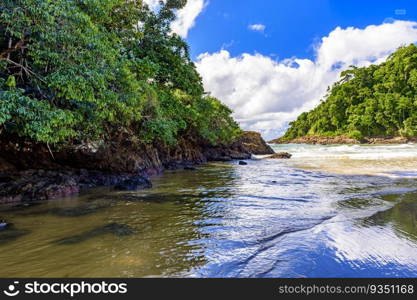 Paradisiacal and preserved beach in Itacare in Bahia between the tropical forest and the rocks. Paradisiacal and preserved beach in Itacare