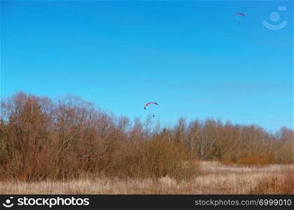 paragliders in the sky over the forest, two paragliders soar above the trees. paragliders in the sky over the forest