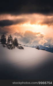 Paragliding into the light