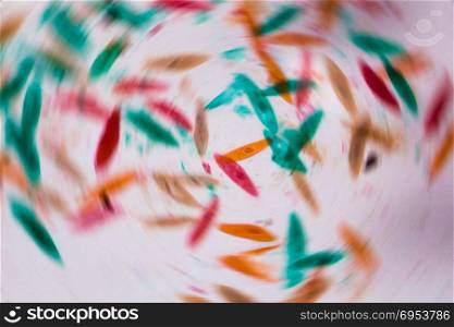 Paramecium caudatum under the microscope - Abstract shapes in color of green, red, orange and brown on white background.