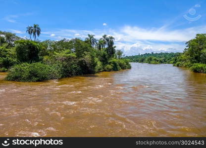 Parana river at iguazu falls national park. tropical rapids and rainforest landscape. Parana river at iguazu falls