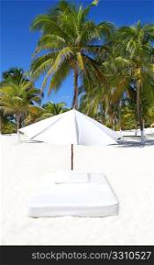 parasol beach tropical umbrella mattress with palm trees
