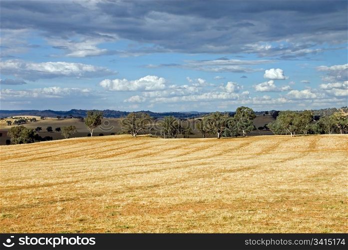 Parched, drought-stricken farmland in Western New South Wales, Australia