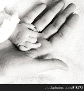 Parenting and love concept. Closeup newborn baby holding his mothers finger. Square format, black white photo