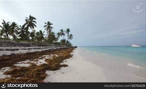 Parents and little son walking along the shore in tropics holding hands. Scene with quiet water, palm trees and beach with sea wrack