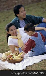 Parents and their son at a picnic