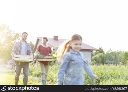 Parents carrying organic vegetables in crate while looking at daughter in farm
