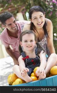 Parents Pushing Daughter In Wheelbarrow Filled With Oranges