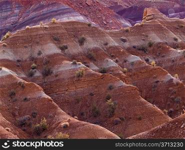 Paria Canyon, Paria, Kane County, Utah, USA