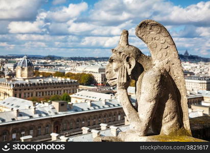 Paris aerial view with Chimera of Notre Dame de Paris