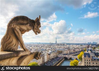Paris aerial view with Chimera of Notre Dame de Paris