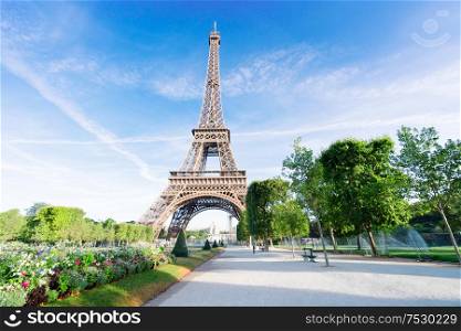 Paris Eiffel Tower summer flowers in Paris, France. Eiffel Tower is one of the most iconic landmarks of Paris.. eiffel tour and Paris cityscape