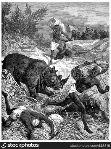 Paris of Lake Tanganyika, A rhinoceros puts stir among carriers, vintage engraved illustration. Journal des Voyage, Travel Journal, (1880-81).