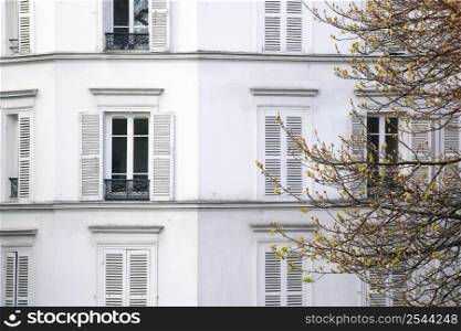 Paris. white facade of a beautiful house and a tree branch in the foreground
