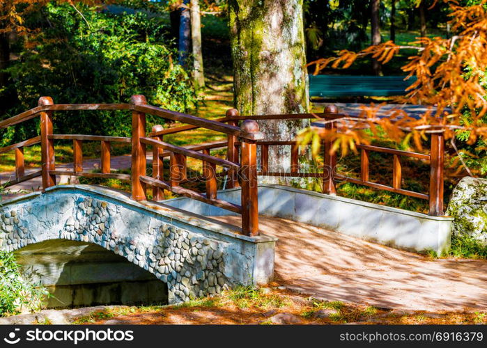 Park arboretum in Sochi. Russia