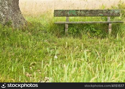 park bench idyll. park bench