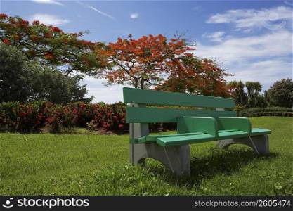 Park bench in a garden