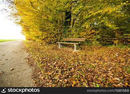 park bench in autumn