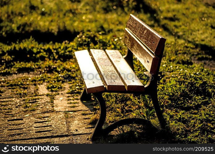 park bench in autumnal sun