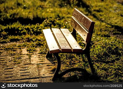 park bench in autumnal sun
