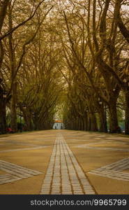 Park bench in river side view in nature landscape, Ponte de Lima, Portugal