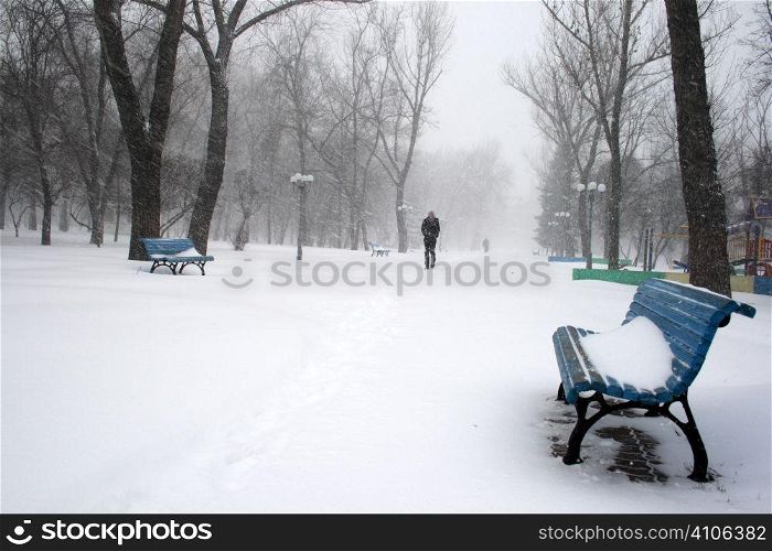 Park bench under the snow