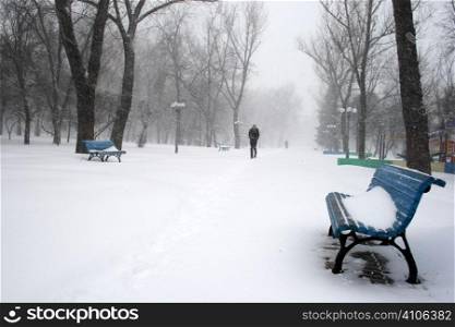 Park bench under the snow