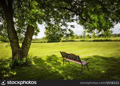 Park bench under tree. Bench under lush shady tree in summer park