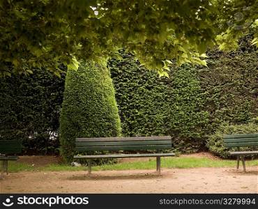Park benches in Paris France