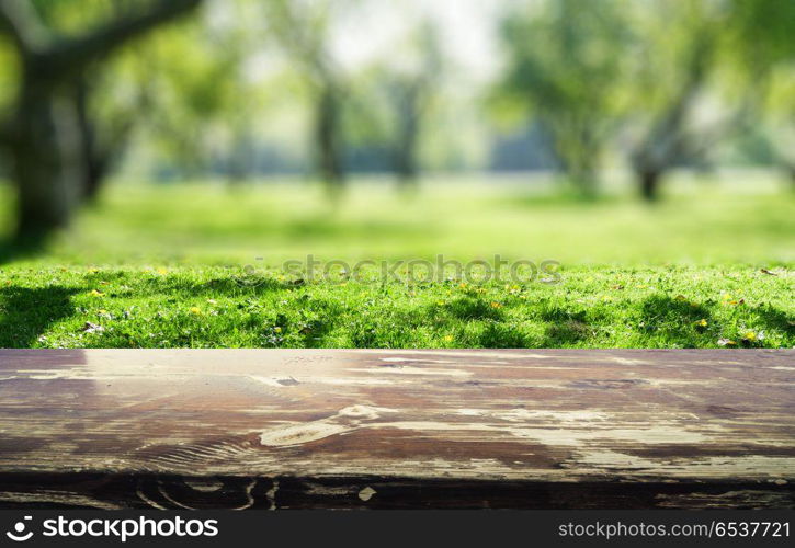 Park blur background. Park blur background. Summer day nature landscape. Park blur background