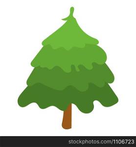 Park fir tree icon. Isometric of park fir tree vector icon for web design isolated on white background. Park fir tree icon, isometric style