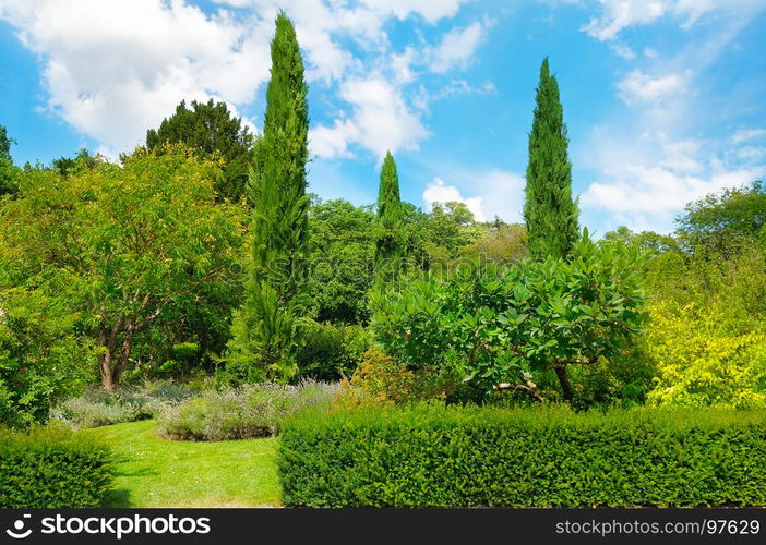 park,hedge, green meadow and blue sky