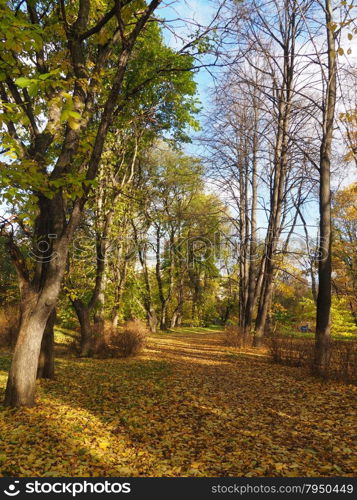 park in autumn