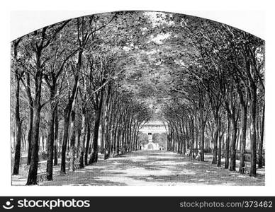 Park in front of the Pitie-Salpetriere Hospital in Paris, France. Vintage engraving.