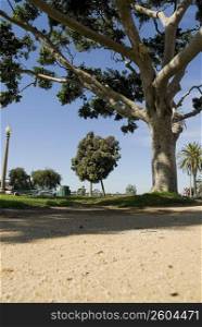 Park in Santa Monica, California