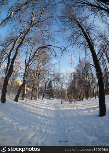 park in winter