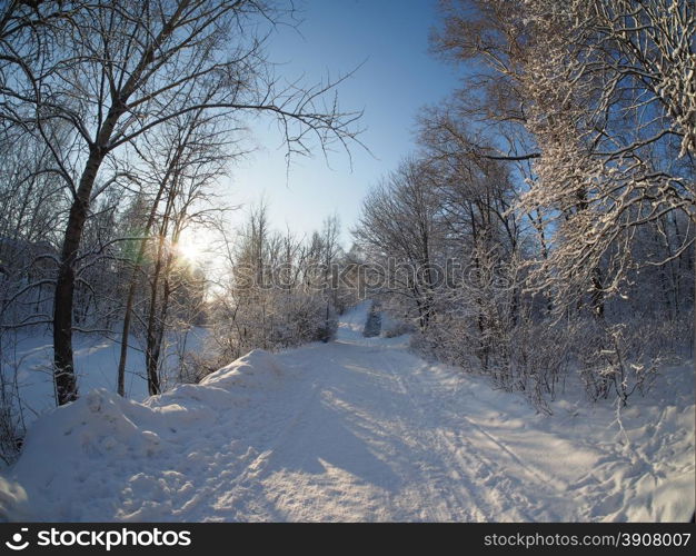 park in winter