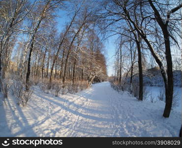 park in winter