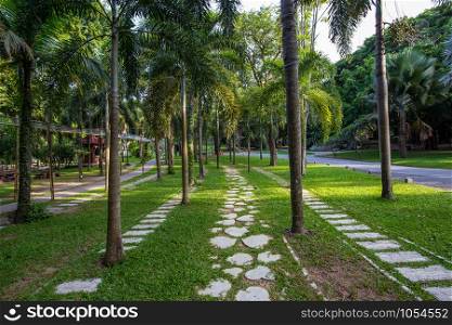 Park is A very large park in Bangkok of Thailand which Is the capital city of Thailand