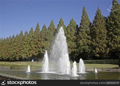 Park landscape with fountain