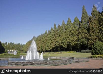 Park landscape with fountain