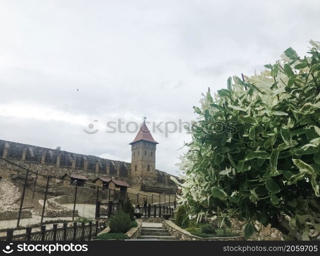 Park Loga, Russia - June 2021: Green tree and a castle on the background