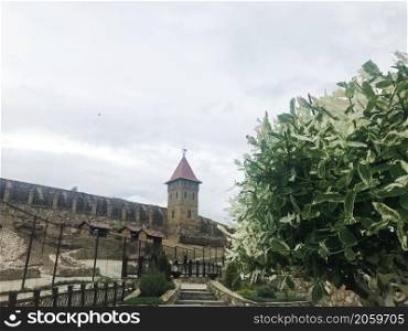 Park Loga, Russia - June 2021: Green tree and a castle on the background