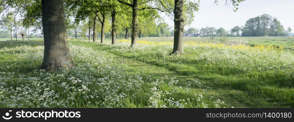 park of castle De Haar near utrecht in the netherlands with spring flowers