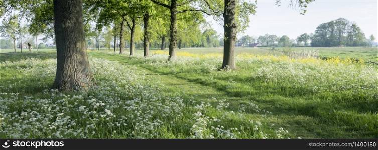 park of castle De Haar near utrecht in the netherlands with spring flowers