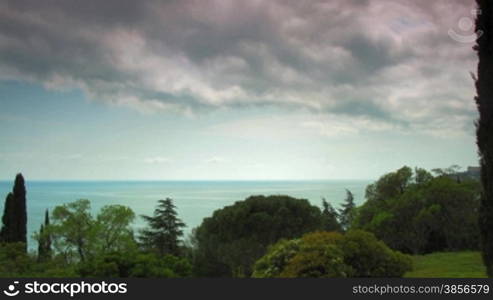 Park of Vorontsovsky palace in Crimea. time lapse.