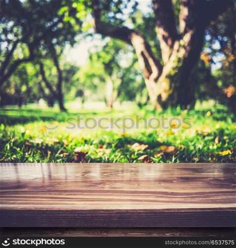 Park outdoor blur background. Park outdoor blur background. Summer bokeh morning. Park outdoor blur background