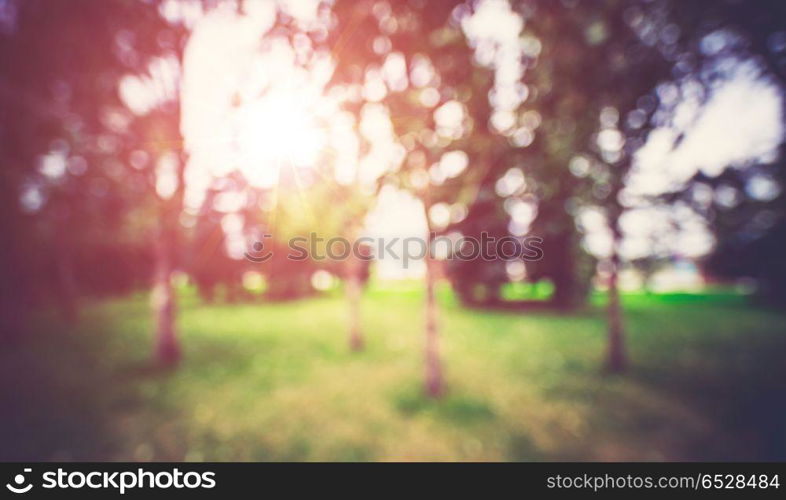 Park outdoor landscape. Park outdoor landscape. Summer abstract bokeh background. Park outdoor landscape