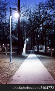 Park path at night